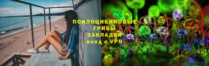 цены   мега ссылка  Галлюциногенные грибы MAGIC MUSHROOMS  Багратионовск 